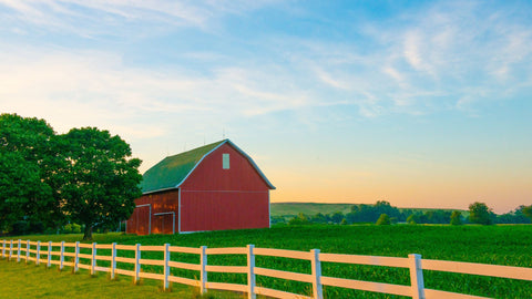 This is a picture of a traditional red barn in rural Arkansas, surrounded by lush green fields and tall trees.