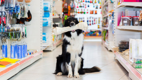 This is a picture of a dog holding a bone sitting in the middle of Farmer's Association's pet aisle. The aisle is stocked with a variety of pet supplies, from food and treats to toys and bedding, offering customers all they need to care for their furry friends.